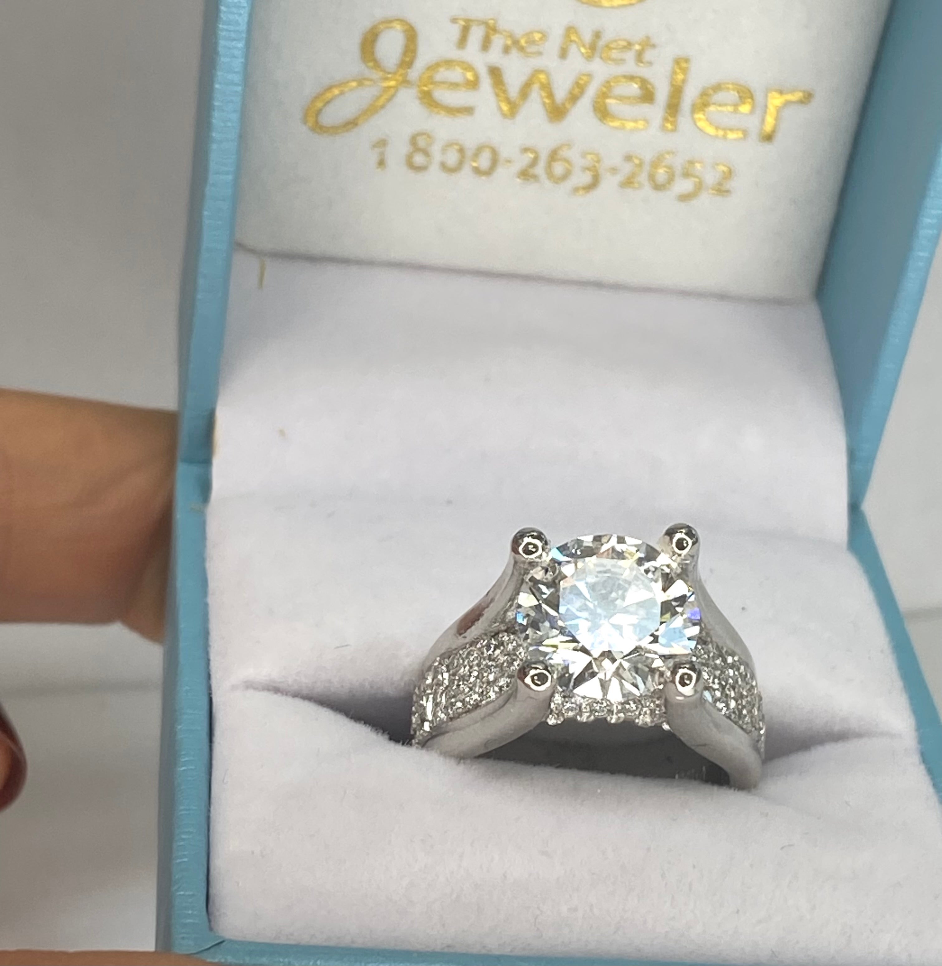 3.64 ct Diamond Cathedral Engagement Ring in Platinum - Thenetjeweler