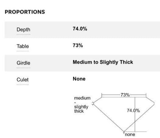 Princess Diamond Guard Wrap Jacket and Band Set - Thenetjeweler