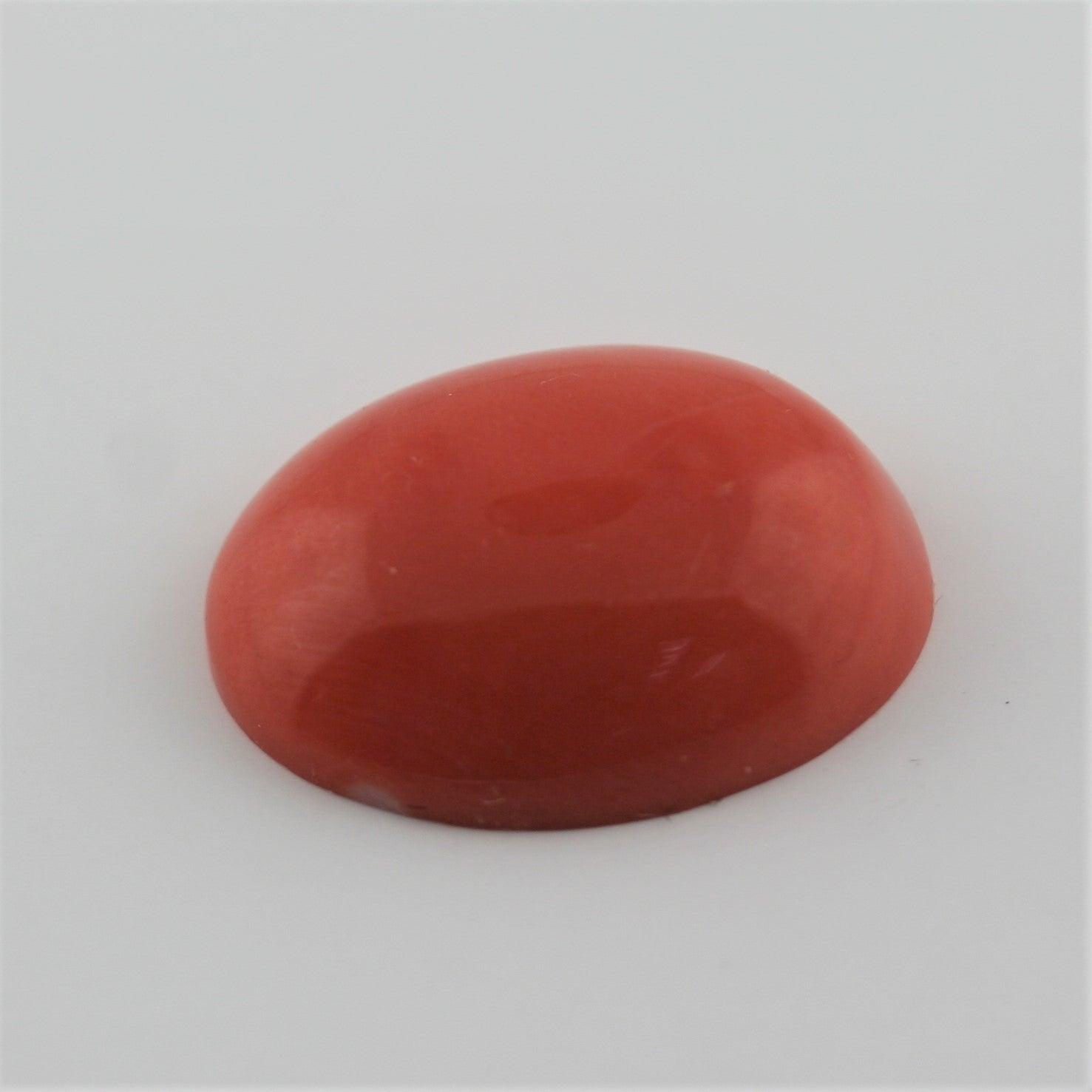 ★keike★ Shape of Perth Coral 0463CA5D-0F46-4B19-932D-