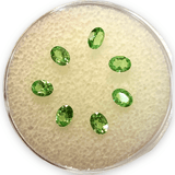 Green Tsavorite Garnet Stone - Thenetjeweler